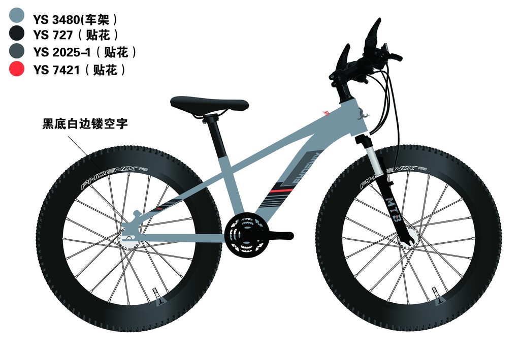 20" N300_PHOENIX