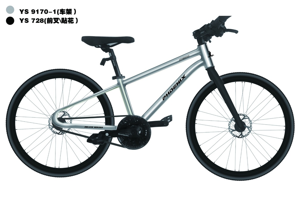 20" 小飞侠-AL_PHOENIX