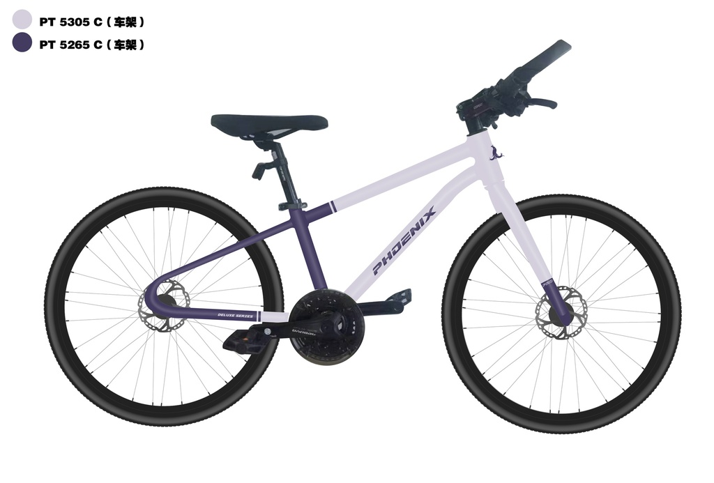24" 小飞侠_PHOENIX (2024)