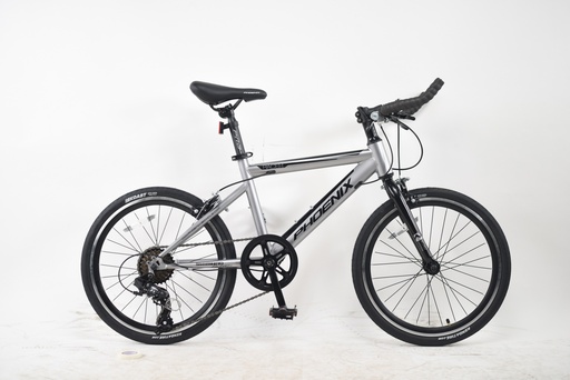 23FH 20" SPEED X_PHOENIX