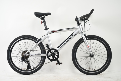 22" SPEED X_PHOENIX