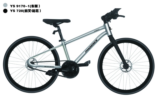 20" 小飞侠-AL_PHOENIX
