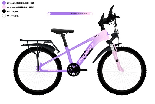25FH 20" 悦驰_PHOENIX